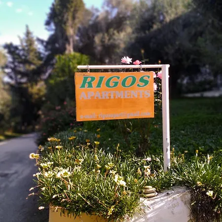 Rigos 维塔拉戴斯