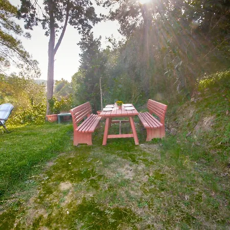 Rigos Apartament Vitaládes
